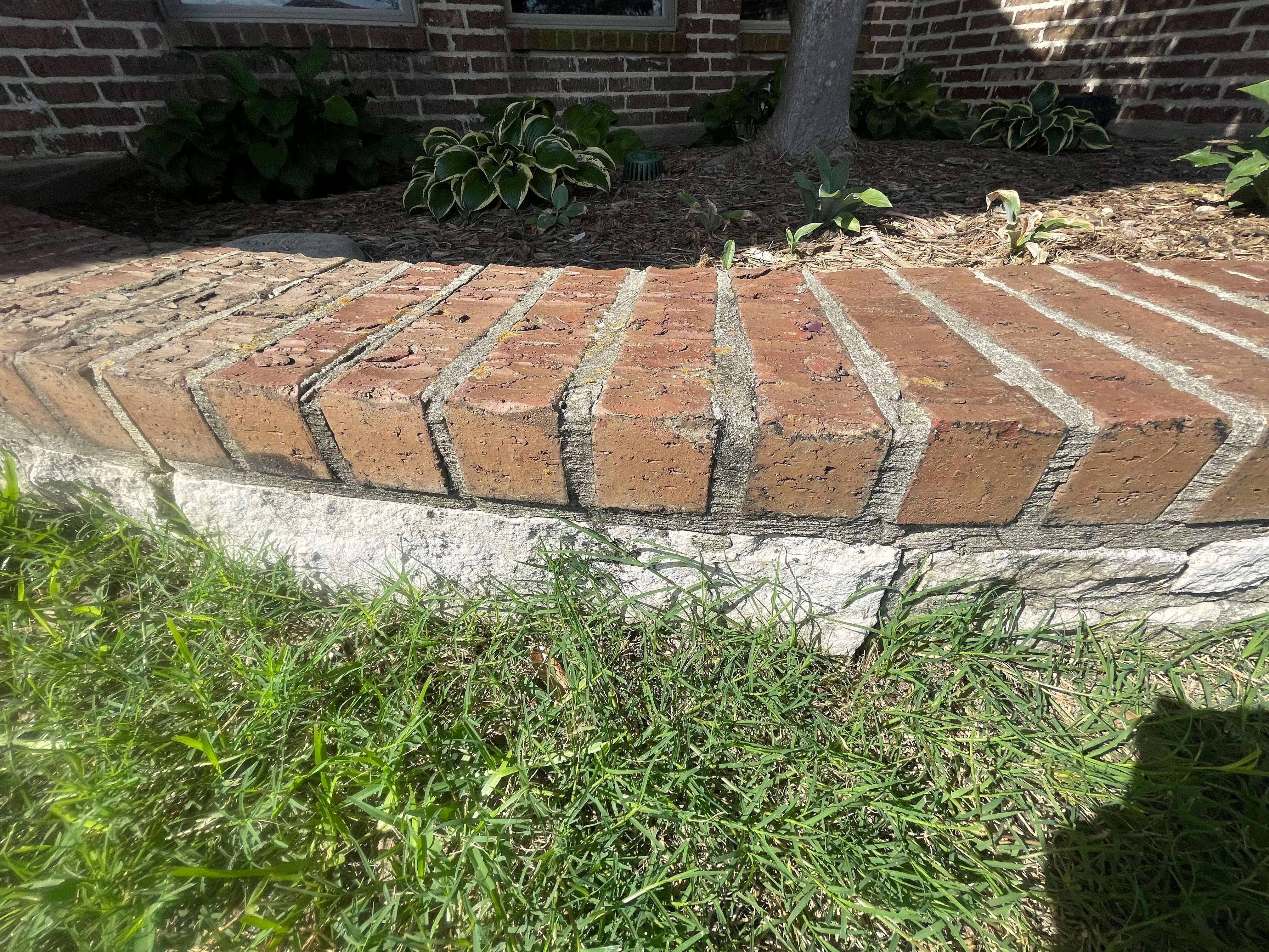 Dull brick garden edging and dirty concrete base before cleaning in Wylie, TX