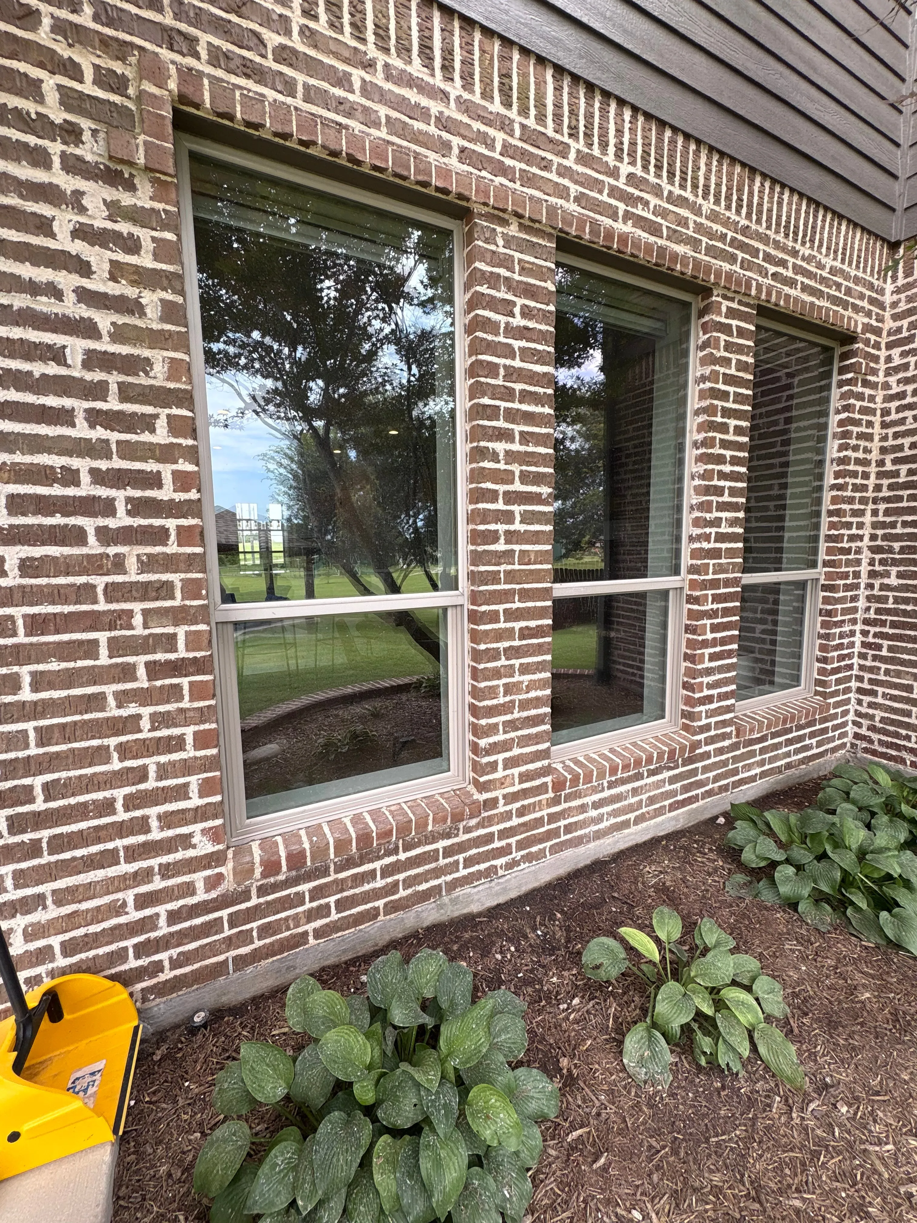 Brick exterior wall with windows looking clean and fresh after power washing in Wylie, TX